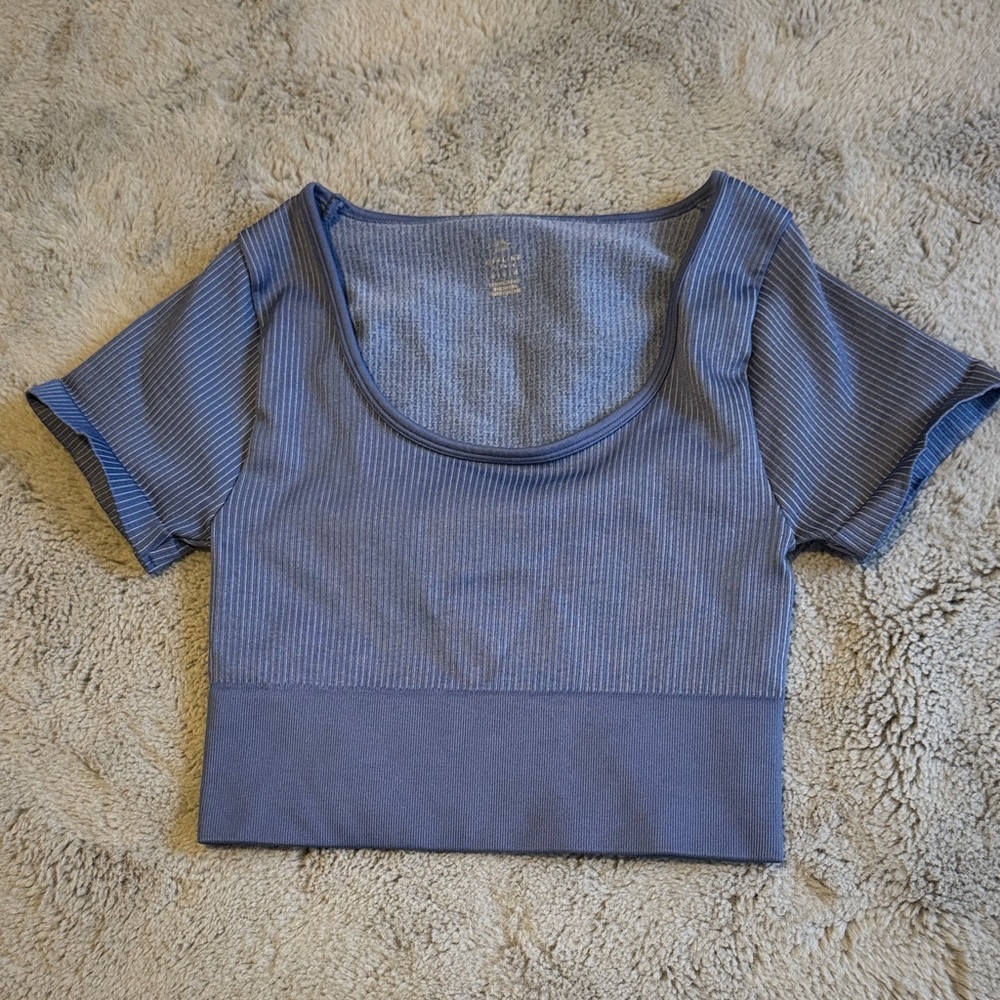 Aerie Blue Ribbed Crop Top